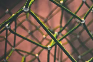 Generic Data Structures and Algorithms in .NET 2.0