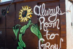 Extension Method Patterns